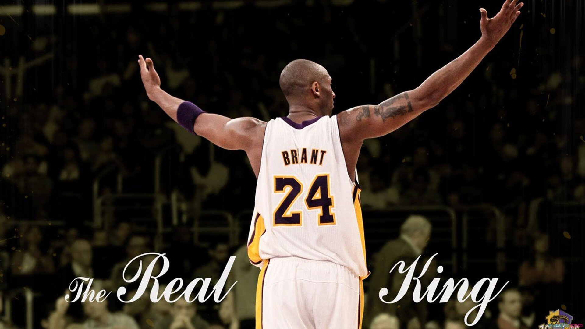 开云体育app官网-体育赛事社会影响力提升，体育赛事带来的社会效益