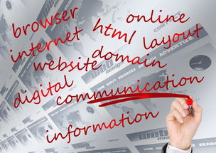 开云体育在线-校园体育赛事品牌建设路径与传播策略研究，校园体育竞赛体系